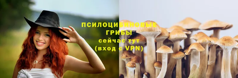 Галлюциногенные грибы Magic Shrooms  Ногинск 