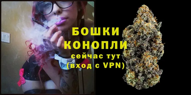 закладки  Ногинск  Бошки Шишки OG Kush 